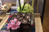 武昌休閑娛樂會所在哪里啊